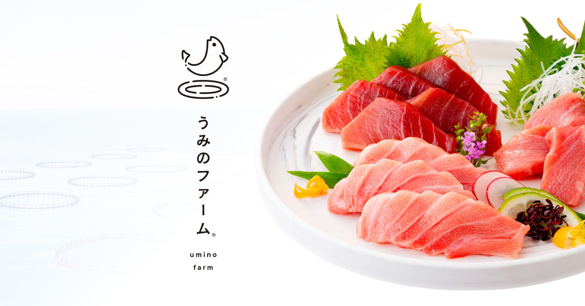 冷蔵】極上お刺身用ロイン2点セット 夏季販売休止のお知らせ